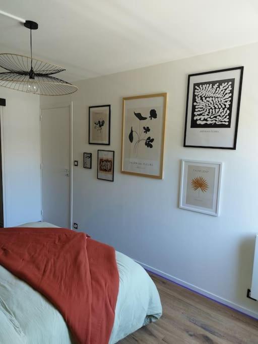 Appartement Au Coeur De Paimpol Eksteriør bilde